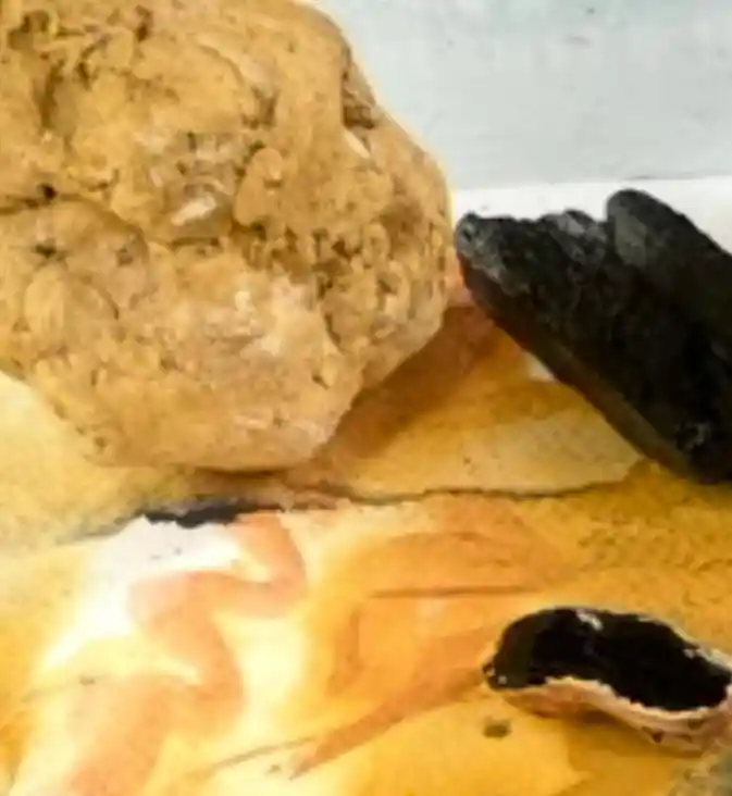 GeoTinta