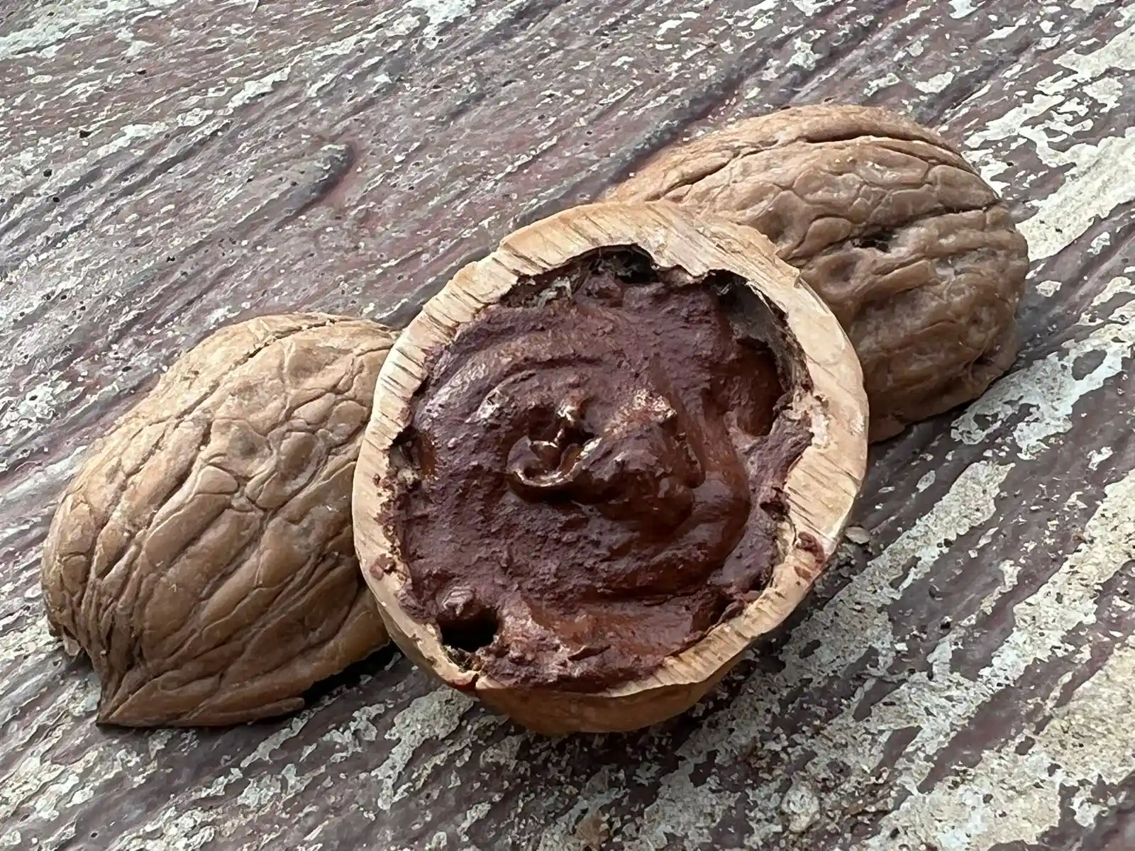 GeoTinta