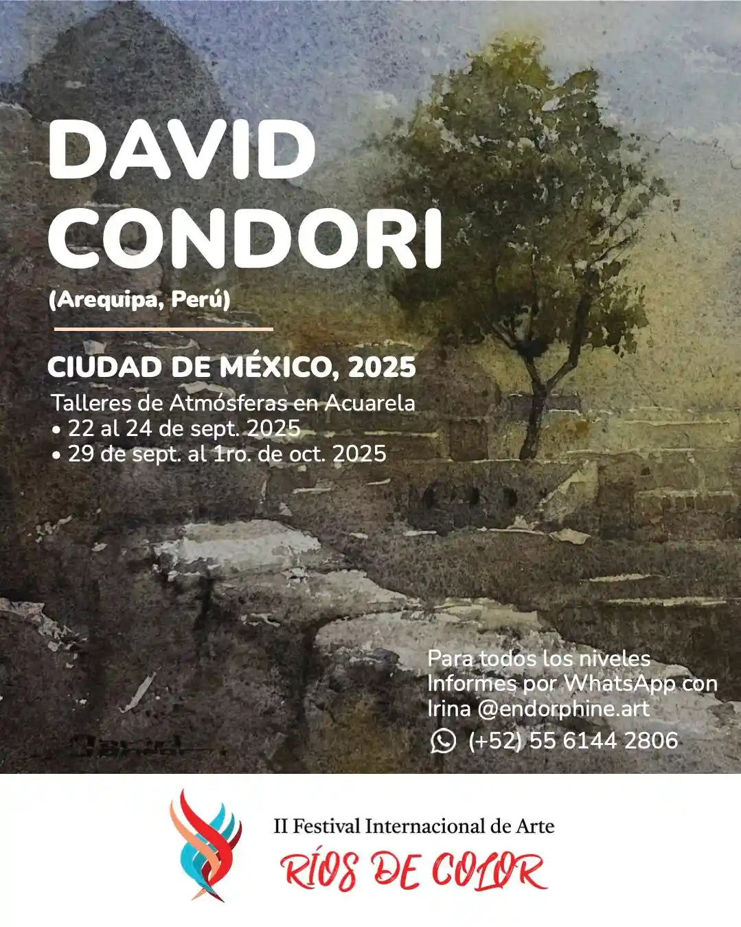 David Condori